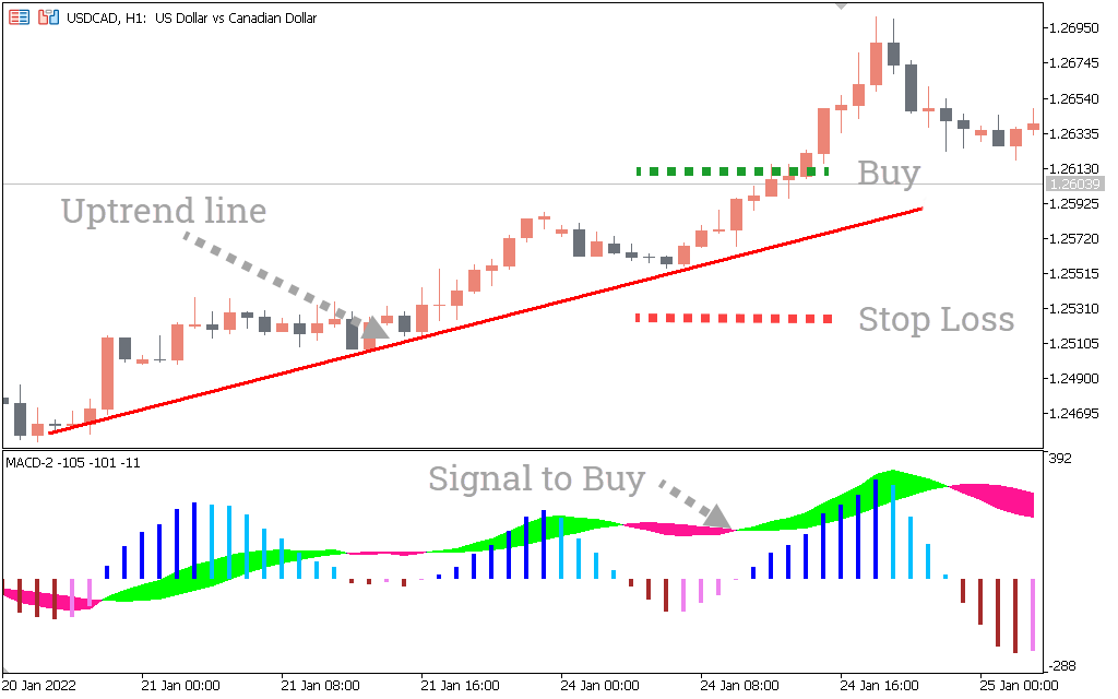Auto MACD MT5 Indicator